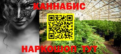a pvp Гатчина