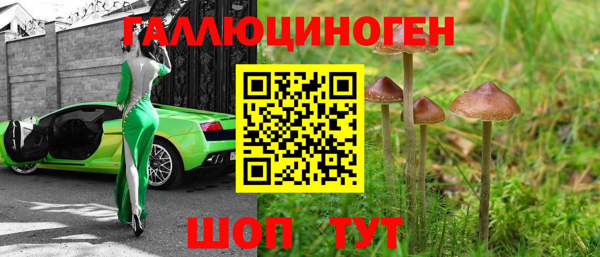 Трёхгорный  закладки  Вход с VPN  Псилоцибиновые грибы GOLDEN TEACHER 